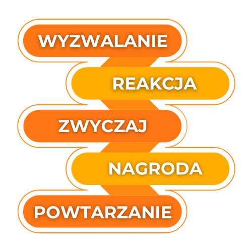 Jak działają nawyki Jak działają nawyki